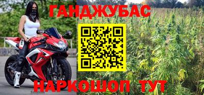 стафф Партизанск