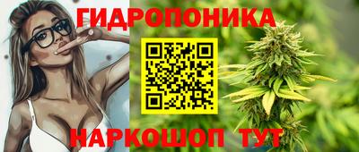 стафф Партизанск