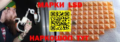 стафф Партизанск