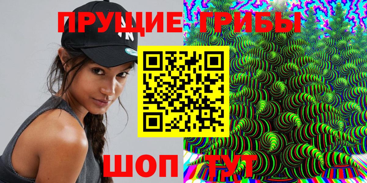 Псилоцибиновые грибы Cubensis  Вход с VPN  Подольск 